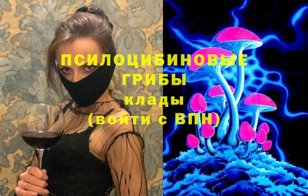 крисы Кодинск