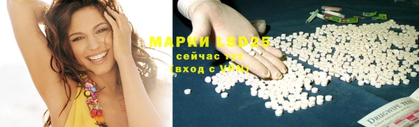 крисы Кодинск