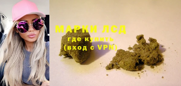 крисы Кодинск