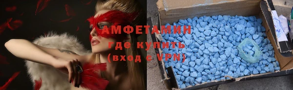 крисы Кодинск