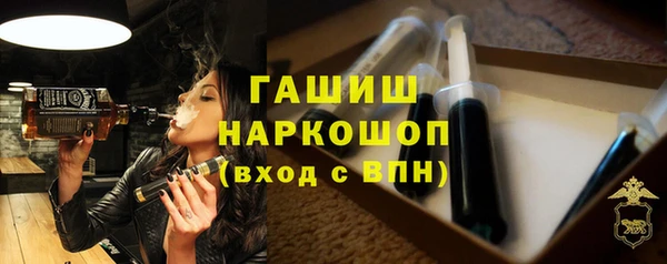 молекула духа Козельск