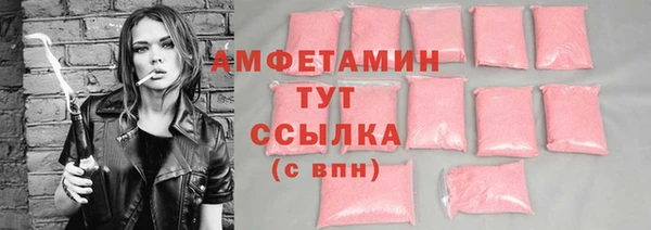 молекула духа Козельск
