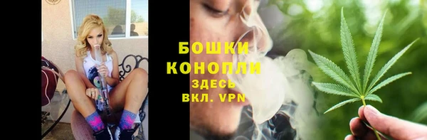 крисы Кодинск