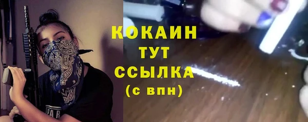 крисы Кодинск