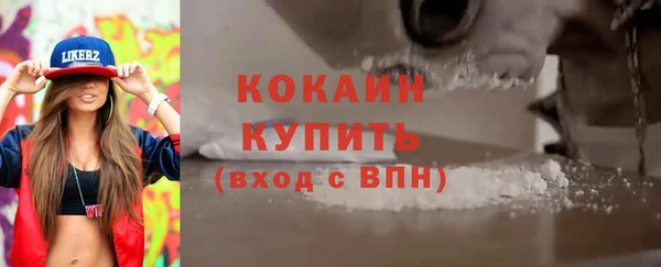 молекула духа Козельск