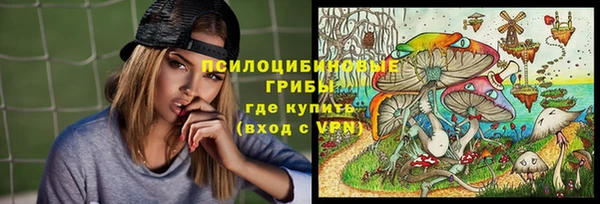 2c-b Козловка