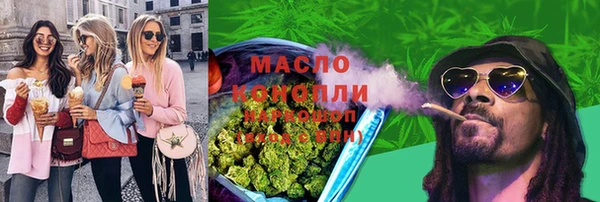 молекула духа Козельск
