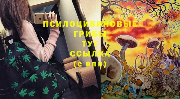 2c-b Козловка