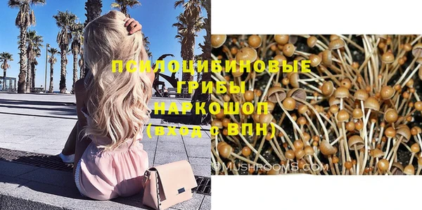 крисы Кодинск