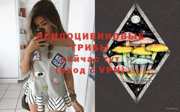 молекула духа Козельск